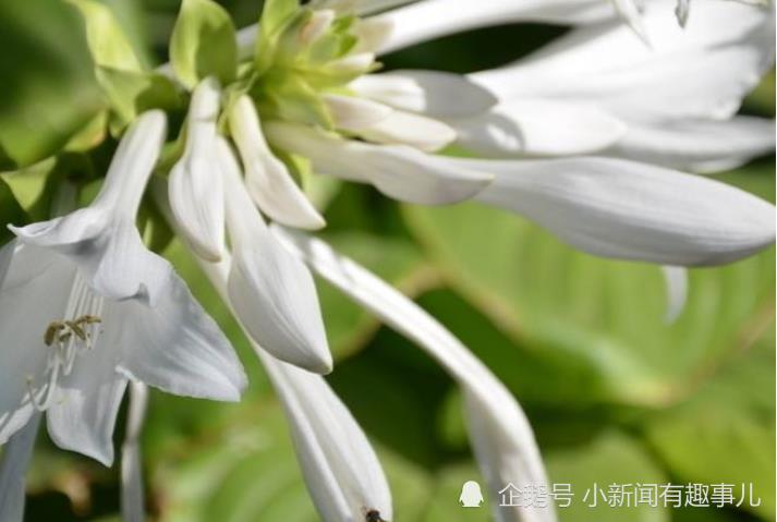 11月開始財運廣進，吉星進門，生活無比幸福的生肖